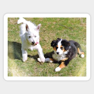 Puppy Friends Sticker